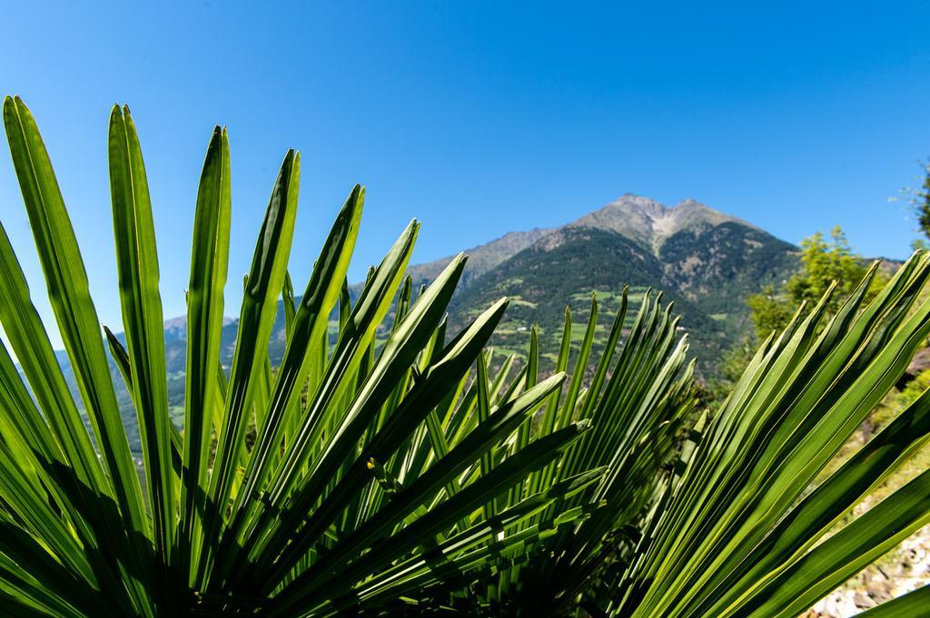 Biohof Niedereben Villa Rablà Kültér fotó