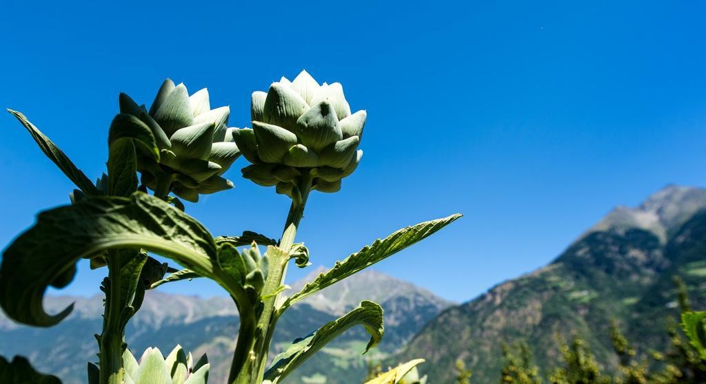 Biohof Niedereben Villa Rablà Kültér fotó